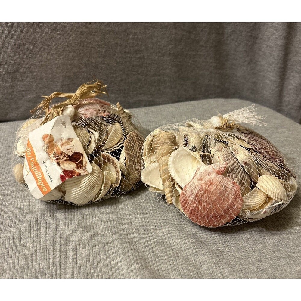 2 bags of SEASHELLS Home Decor Arts And Crafts Decorative Accent New